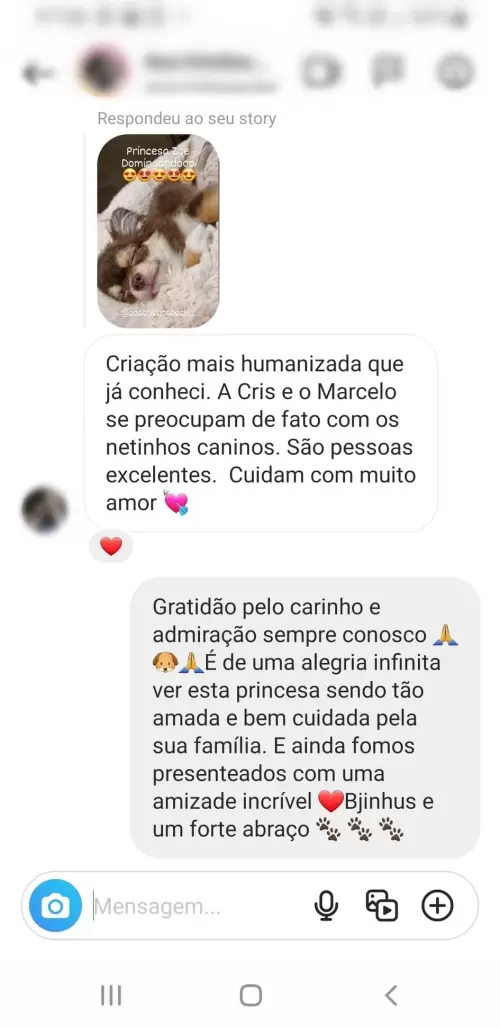 Depoimentos e Feedbacks Espontâneos