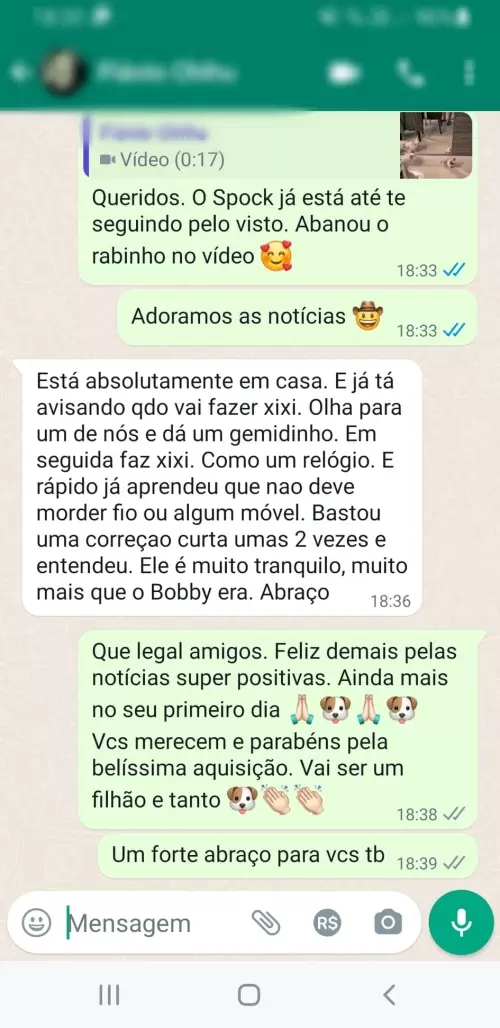 Depoimentos e Feedbacks Espontâneos