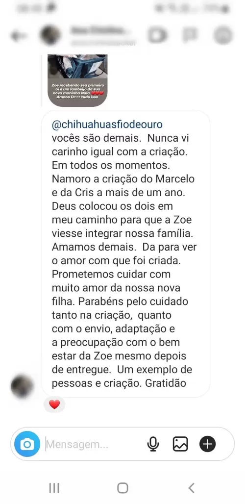 Depoimentos e Feedbacks Espontâneos
