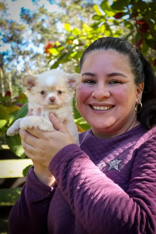 Um Pouco do Nosso Dia a Dia