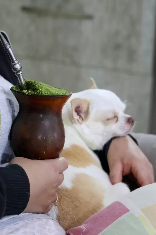 Um Pouco do Nosso Dia a Dia