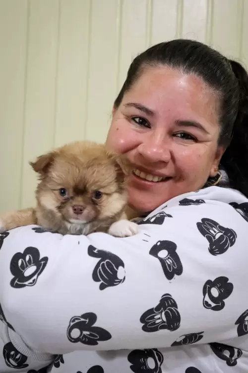 Um Pouco do Nosso Dia a Dia