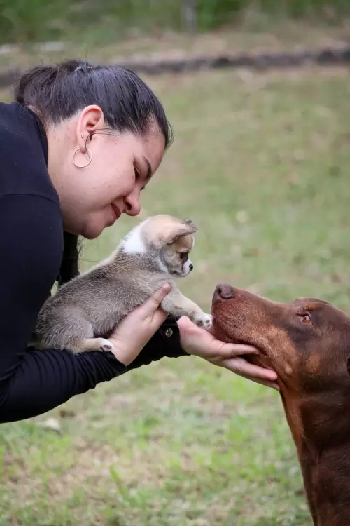 Um Pouco do Nosso Dia a Dia