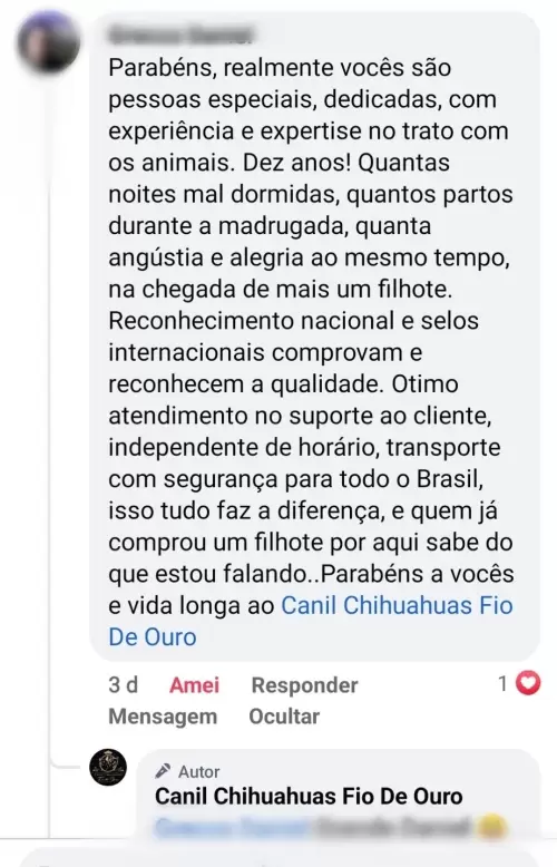 Depoimentos e Feedbacks Espontâneos