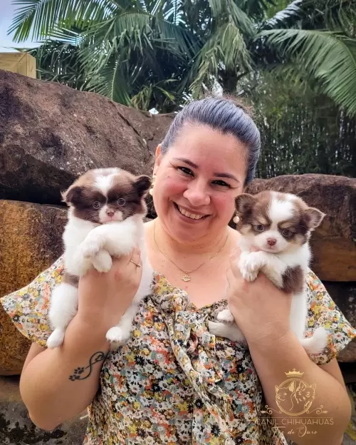 Um Pouco do Nosso Dia a Dia