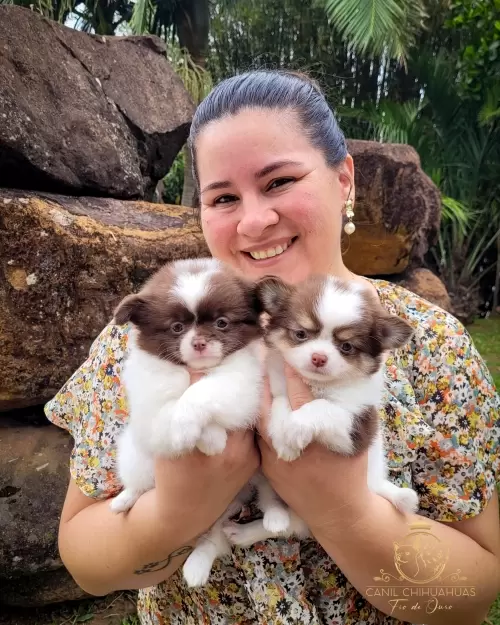 Um Pouco do Nosso Dia a Dia