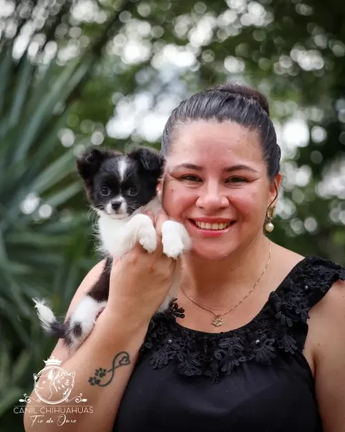 Um Pouco do Nosso Dia a Dia