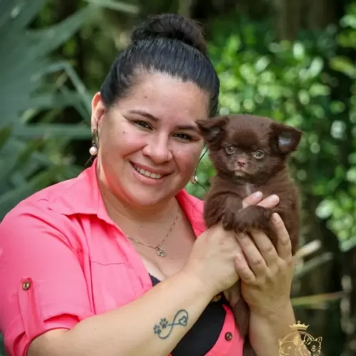 Um Pouco do Nosso Dia a Dia