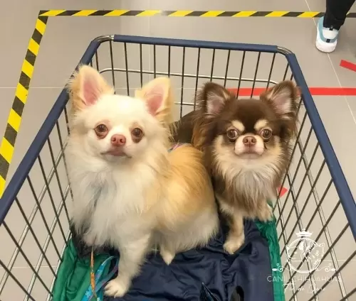 Um Pouco do Nosso Dia a Dia