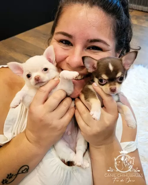 Um Pouco do Nosso Dia a Dia