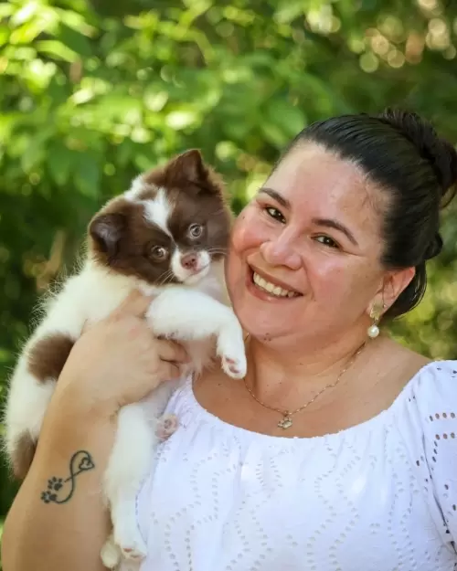 Um Pouco do Nosso Dia a Dia