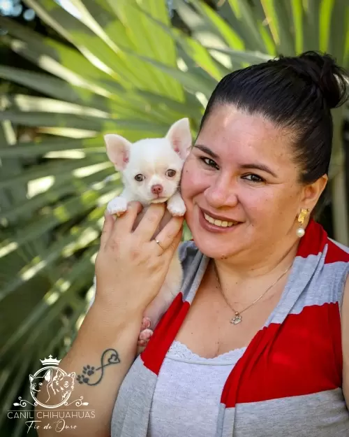 Um Pouco do Nosso Dia a Dia