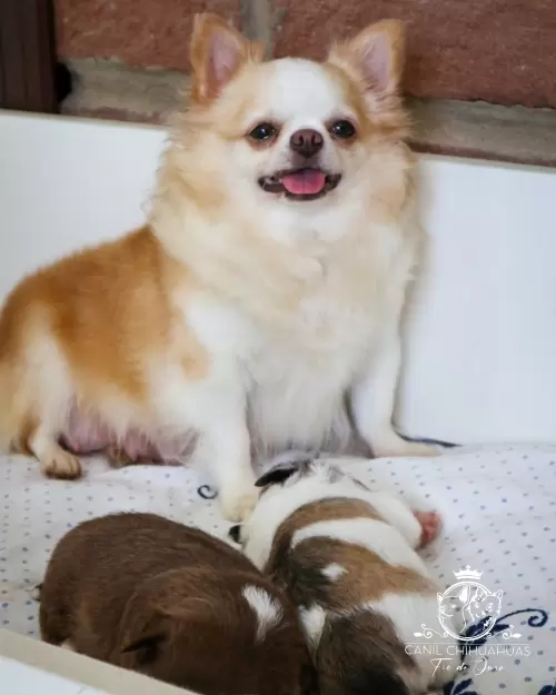 Um Pouco do Nosso Dia a Dia