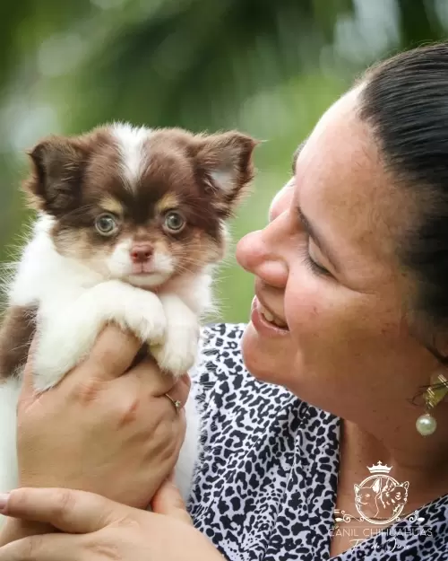 Um Pouco do Nosso Dia a Dia