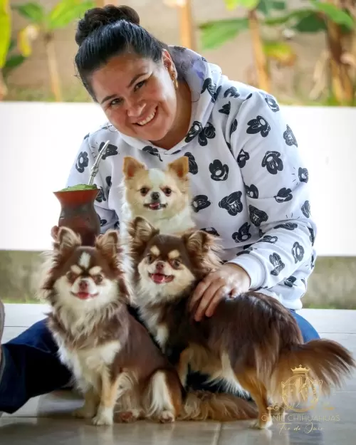 Um Pouco do Nosso Dia a Dia