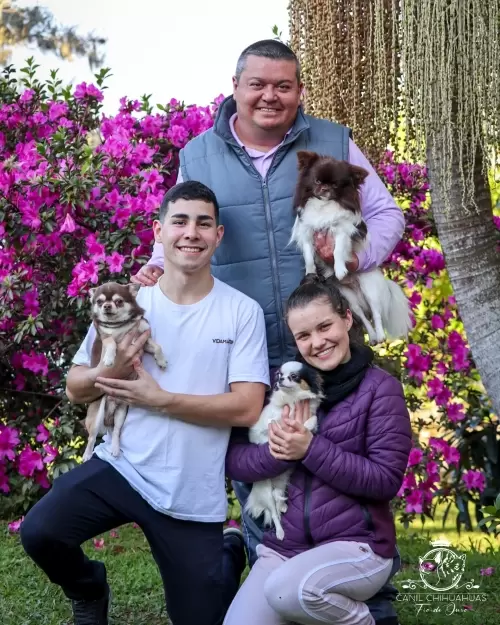 Um Pouco do Nosso Dia a Dia