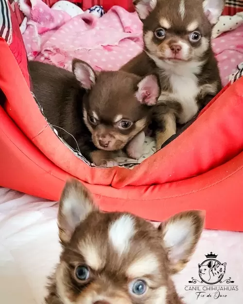 Um Pouco do Nosso Dia a Dia