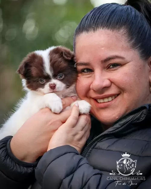 Um Pouco do Nosso Dia a Dia