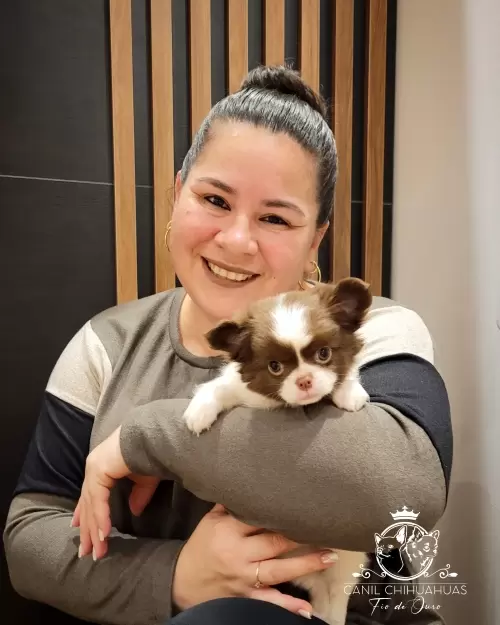 Um Pouco do Nosso Dia a Dia