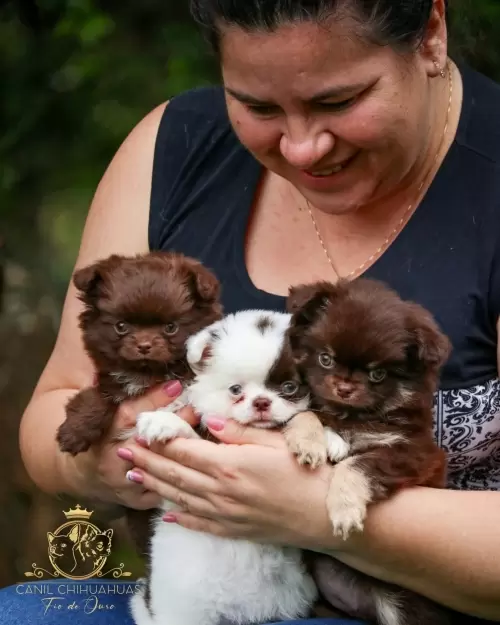 Um Pouco do Nosso Dia a Dia