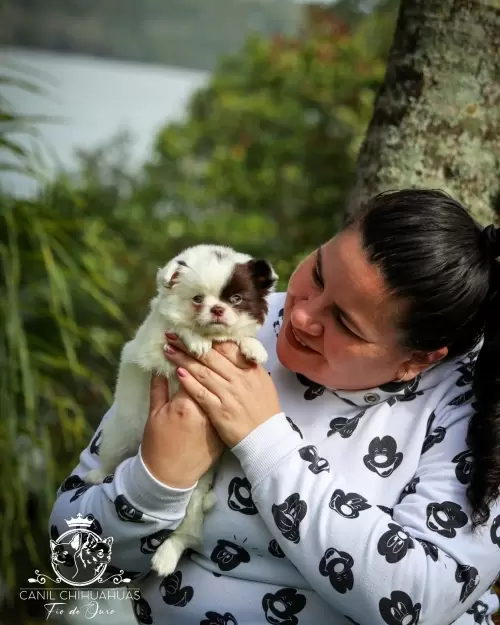 Um Pouco do Nosso Dia a Dia