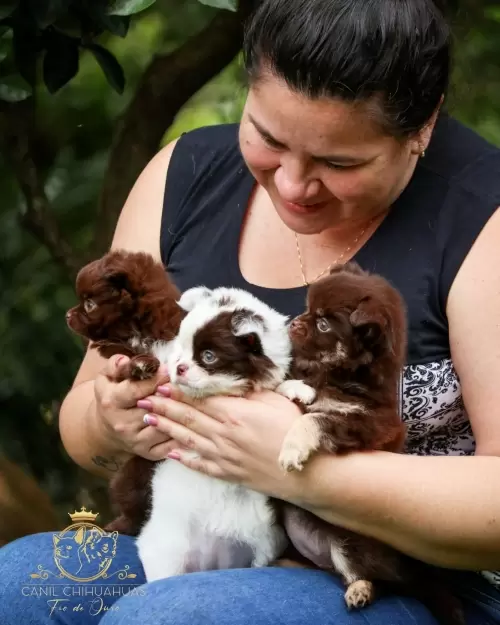 Um Pouco do Nosso Dia a Dia