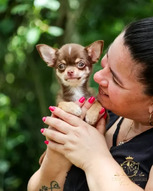 Um Pouco do Nosso Dia a Dia