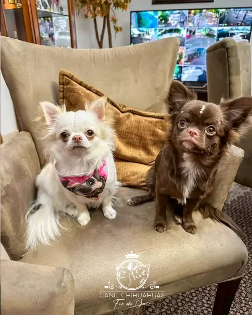 Um Pouco do Nosso Dia a Dia