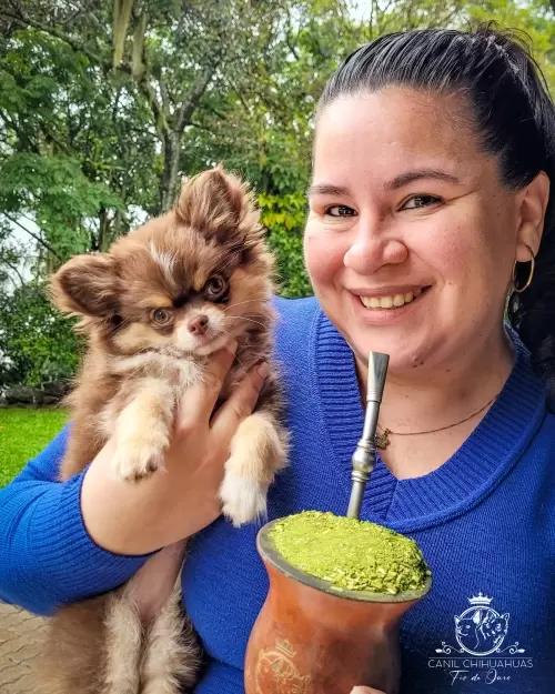 Um Pouco do Nosso Dia a Dia