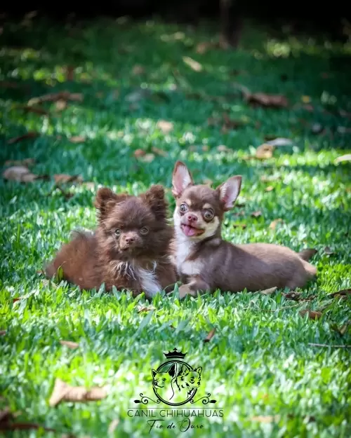 Um Pouco do Nosso Dia a Dia