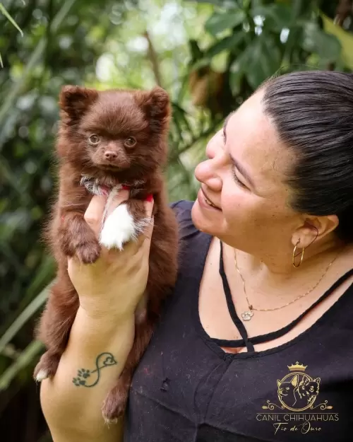 Um Pouco do Nosso Dia a Dia