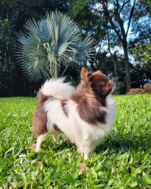 Um Pouco do Nosso Dia a Dia