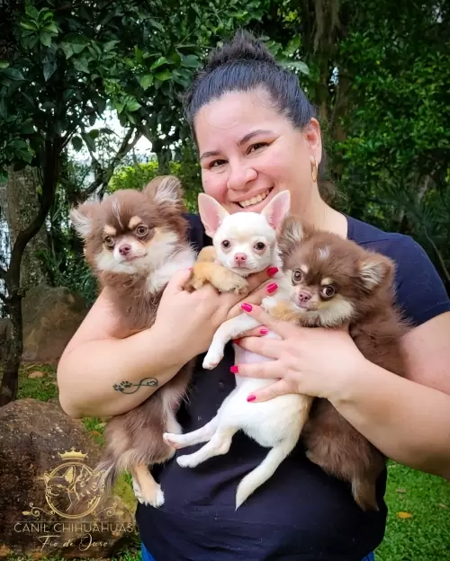 Um Pouco do Nosso Dia a Dia