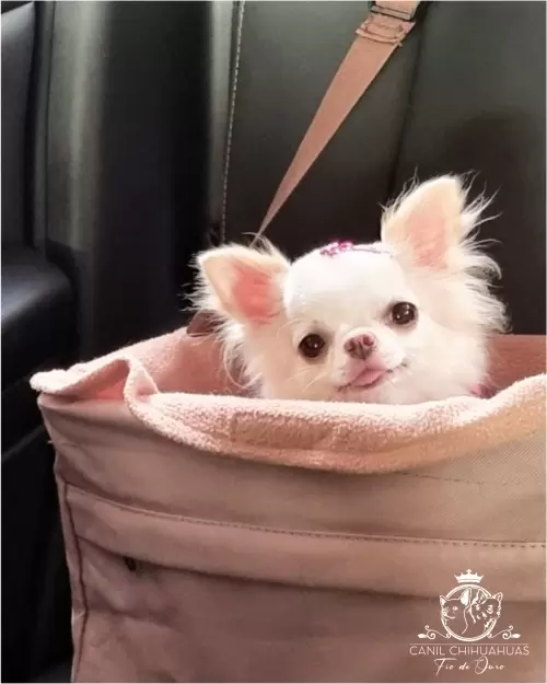 Um Pouco do Nosso Dia a Dia