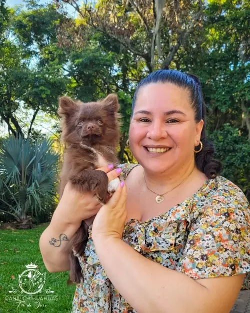 Um Pouco do Nosso Dia a Dia