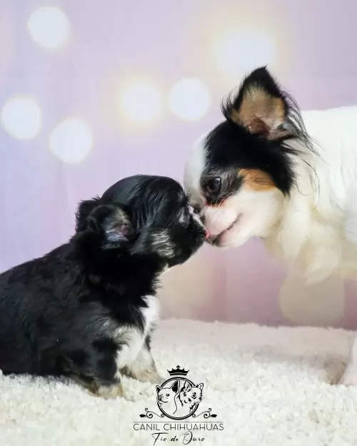 Um Pouco do Nosso Dia a Dia