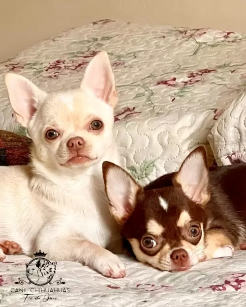 Um Pouco do Nosso Dia a Dia