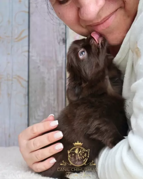 Um Pouco do Nosso Dia a Dia