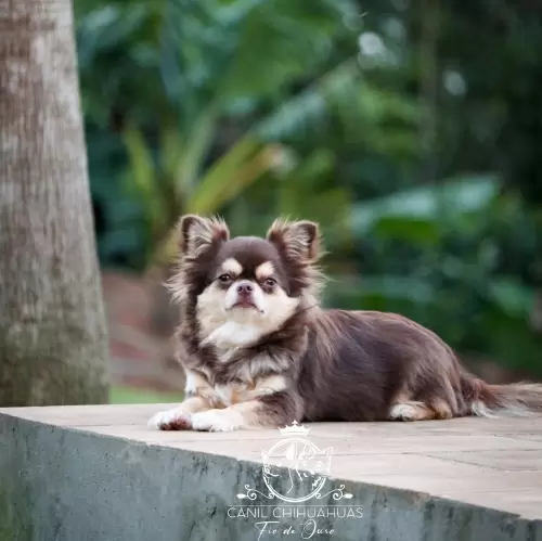 Um Pouco do Nosso Dia a Dia