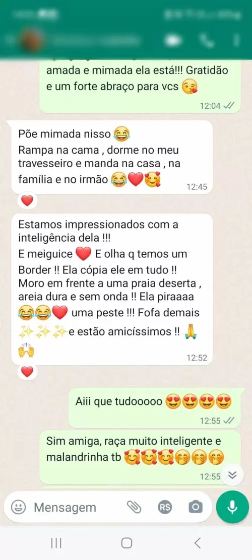 Depoimentos e Feedbacks Espontâneos