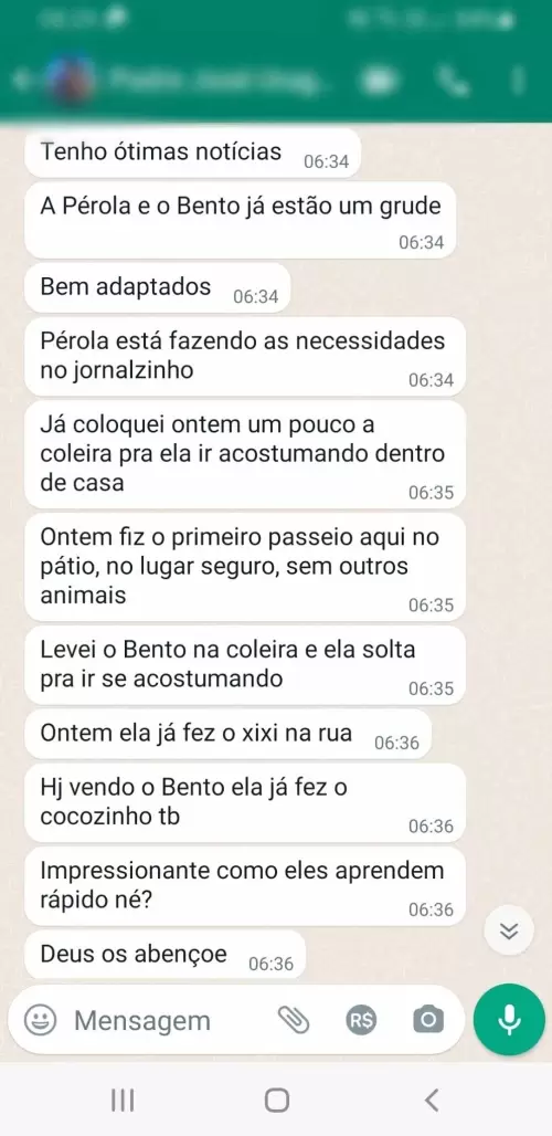 Depoimentos e Feedbacks Espontâneos