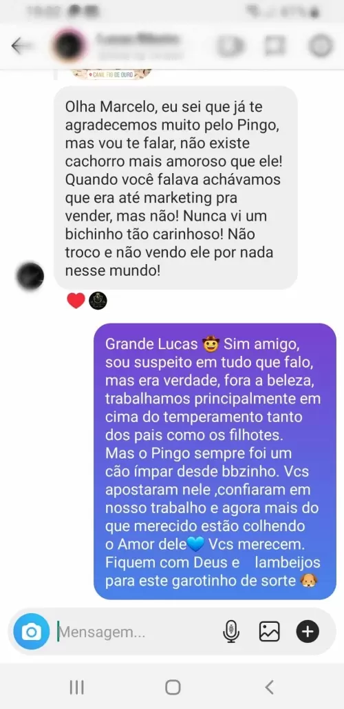 Depoimentos e Feedbacks Espontâneos