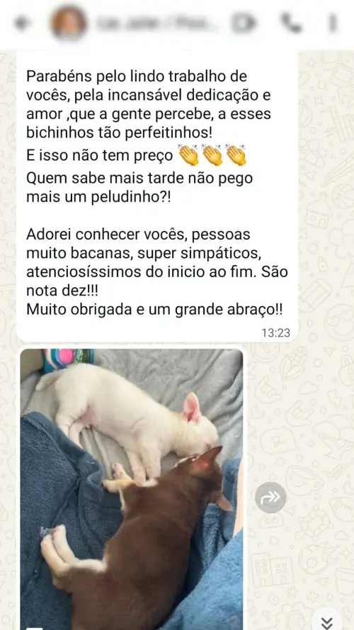 Depoimentos e Feedbacks Espontâneos