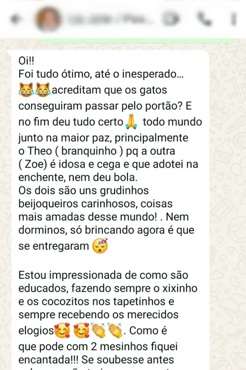 Depoimentos e Feedbacks Espontâneos