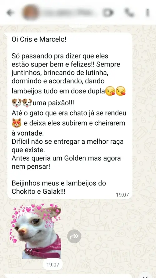 Depoimentos e Feedbacks Espontâneos